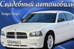Прокат авто на свадьбу Кривой Рог Прокат авто на свадьбу Кривой Рог