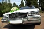 Прокат авто на свадьбу Кривой Рог Прокат авто на свадьбу Кривой Рог