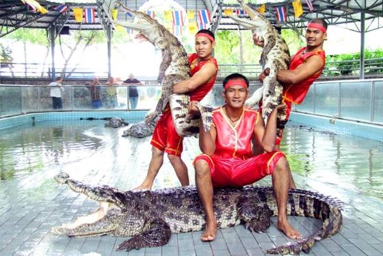 Что посмотреть в Паттайе Что посмотреть в Паттайе